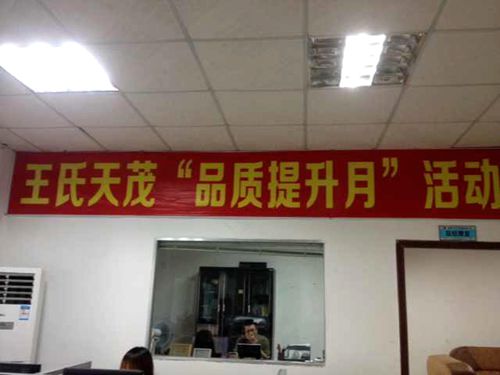 王氏天茂品质提升月活动