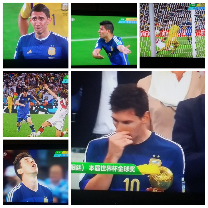 2014年巴西世界杯